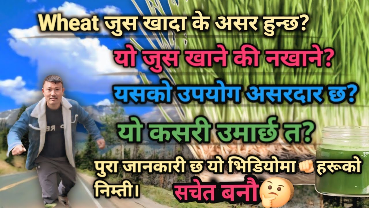 why-is-wheat-grass-juice-beneficial-to-drink-youtube