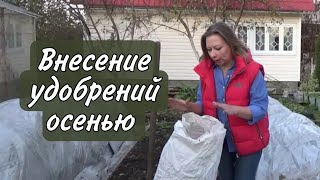 Какие удобрения вносить на грядки осенью, чтобы в следующем сезоне быть с урожаем | Сад для души