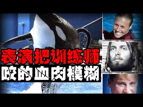 [Rebel Killer Whale] Is it a human problem or a whale problem?