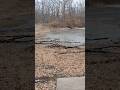 HOLE 13 AT WILDLIFE PRAIRIE #discgolf #viral