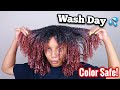 My Wash Day Routine For Color Treated Natural Hair | Repair Damage!