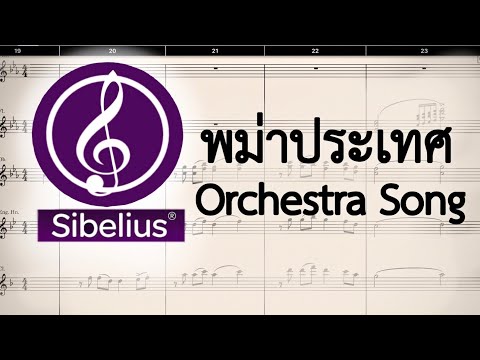 พม่าประเทศ Orchestra