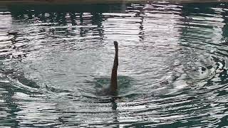 Nuoto Sincronizzato - Assoluto Savona 2022 - Solo Esegio