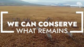 Online Course: Application of GIS in Conservation Mapping | Promo Video