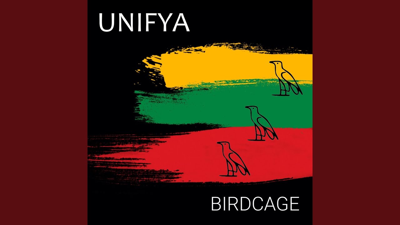 Watch Birdcage on YouTube Watch Birdcage on YouTube