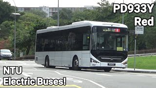 [PD933Y | LCK6126EVG N12] NTU Campus Red Ride