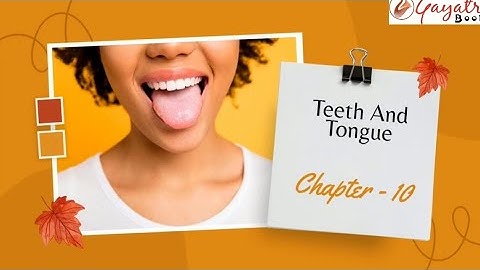 Class - 4||  EVS || Teeth And Tongue || GAYATRI BOOKS|| CBSE