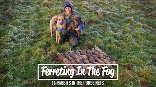 Ferreting In The Fog  16 rabbits in the purse nets