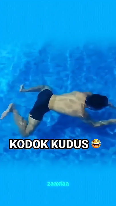 Holy Frog 😂 @WielinoINO #clip #wielino #wielinoxd #zaxtaclip #masukberanda #shorts #kodoklucu