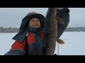 Зимняя рыбалка в Карелии. Глухозимье!