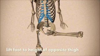 A safe Lotus Posture part 2 of 2 1 2 Lotus Pose