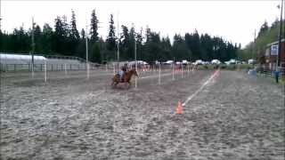 Horseback Riding - Whidbey Island WWGA - Poles - Chris Gee - 4/6/14 by Eric Troili AirWreck 129 views 10 years ago 47 seconds