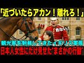 【海外の反応】「近づいたらアカン!離れろ!」観光客を制裁してきたイギリス軍馬が選んだ“日本人女性”の理由とは?