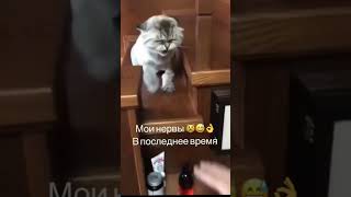 незнаю почему😂😂😂