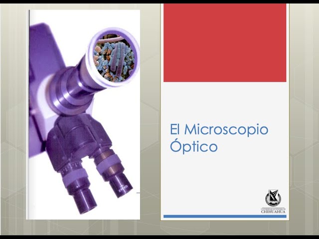 8. El Microscopio óptico