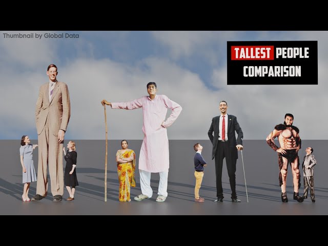TALLEST People HEIGHT Comparison| 3d Animation comparison class=