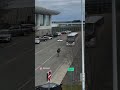Anchorage Airport Amoosement! (Magnificent Moose Wanders Outside Airport)