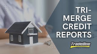 What Is a Residential Mortgage (or Tri-Merge) Credit Report? screenshot 4