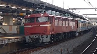 EF81-140号機＋E231系系800番台ミツK7編成AT入場配給　2024.1.18