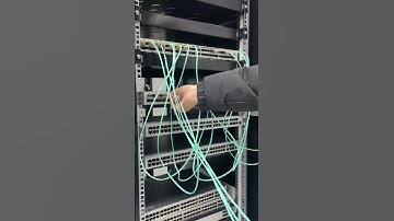 Organize my cables! #shorts #network #homelab