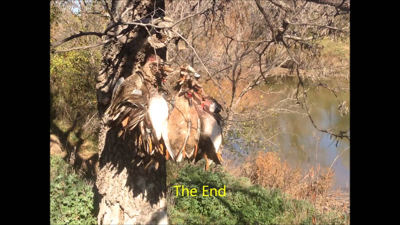 Texas Duck Hunting 