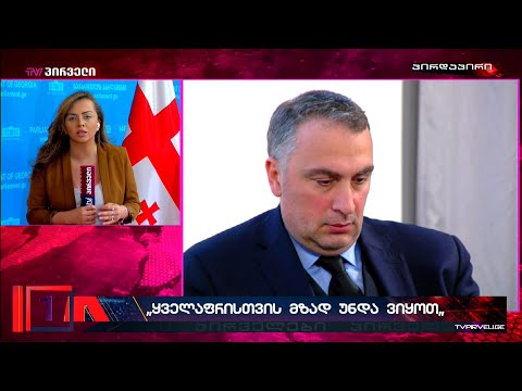 ბიძინა ივანიშვილის ყოფილმა ადვოკატმა ქართულ ოცნებას ცეცხლი გაუხსნა