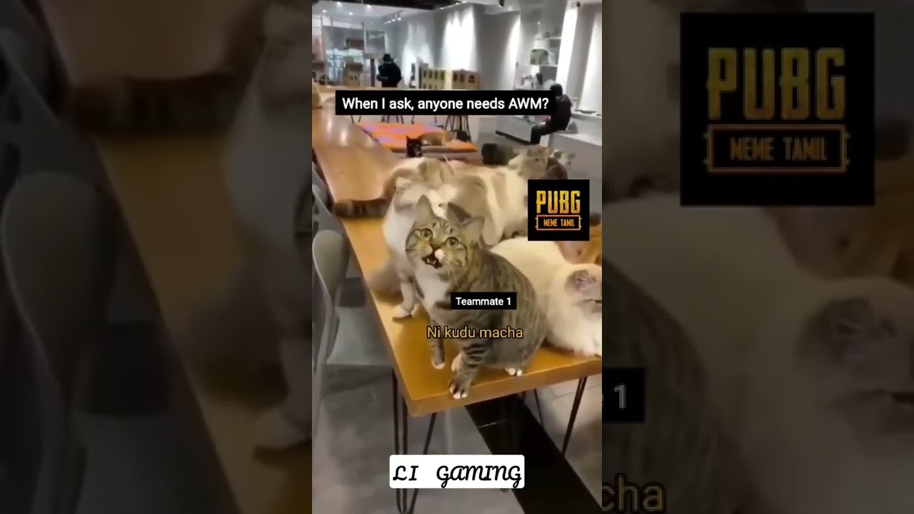 Tag your squad😂😂