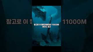 마리아나 해구 11000미터에서 실제로 발견된 물체 ㄷㄷ screenshot 5