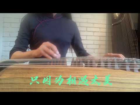 古筝 《雨蝶》