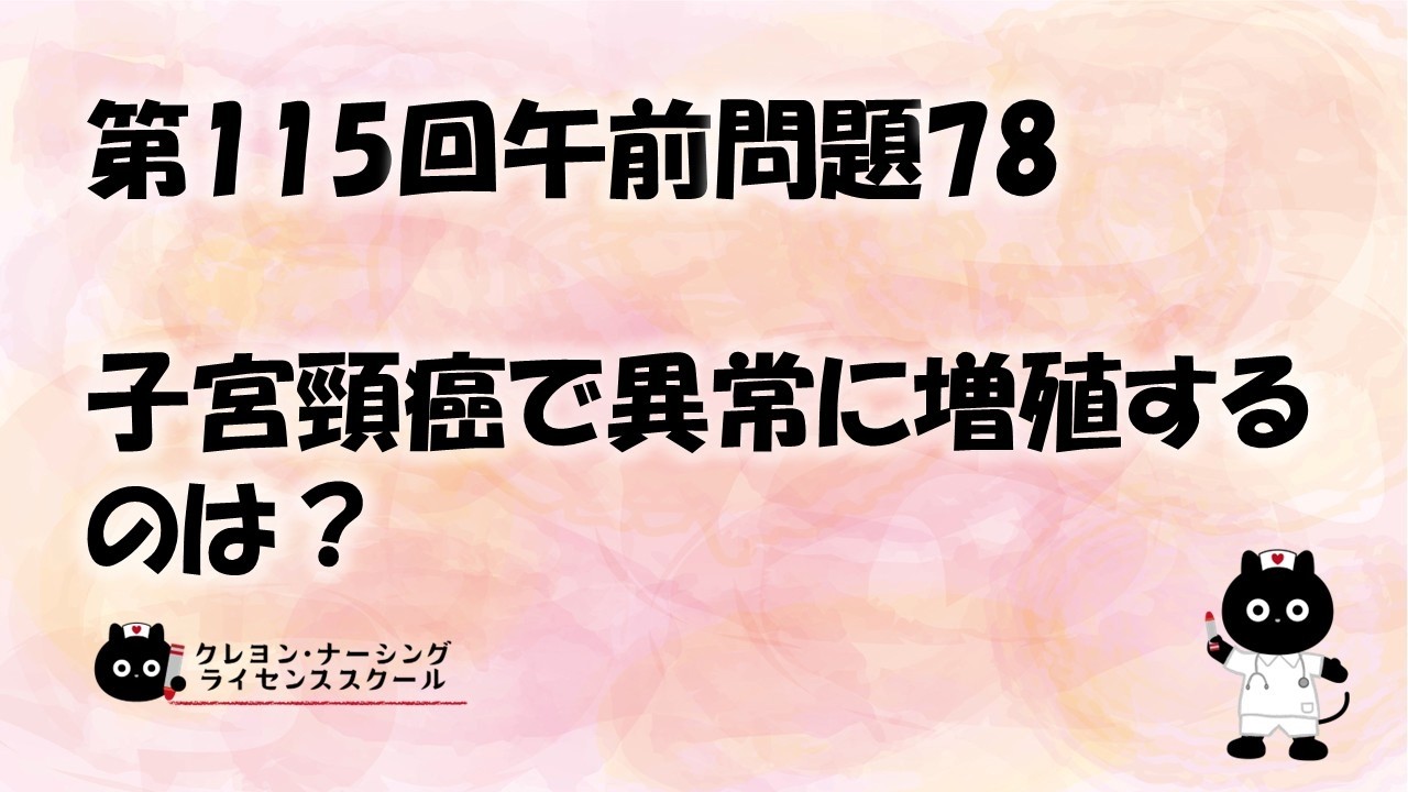 看護師国家試験対策】第115回 午前問題78 過去問解説講座【クレヨン
