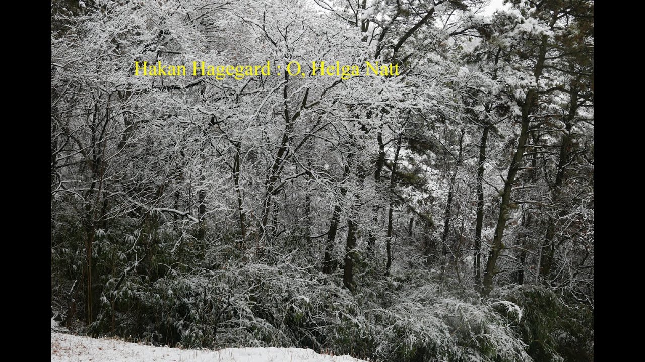 Hagegard : O, Helga Natt