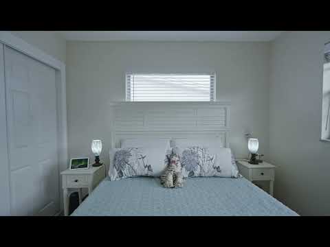 9906 Lily Street, Pinellas Park, FL home video tour