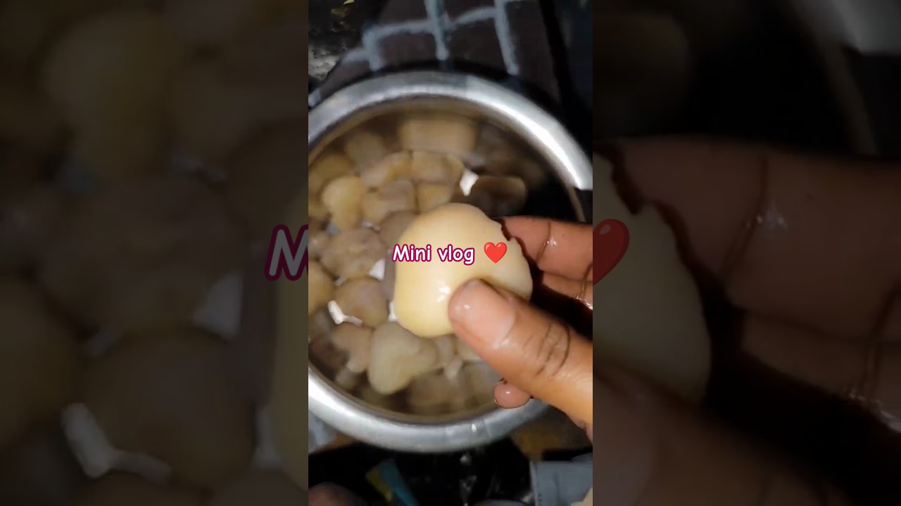 ब्रह्म मुहूर्त mini vlog 