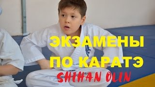 Каратэ киокушинкай - экзамены /Martial Arts
