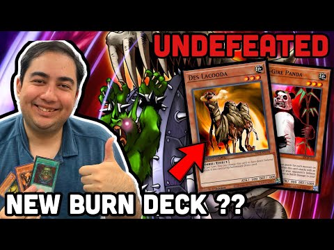 UNDEFEATED 1st Place Goat Format LACOODA BURN??? Deck Profile and  Discussion (Yung Meech) - YouTube