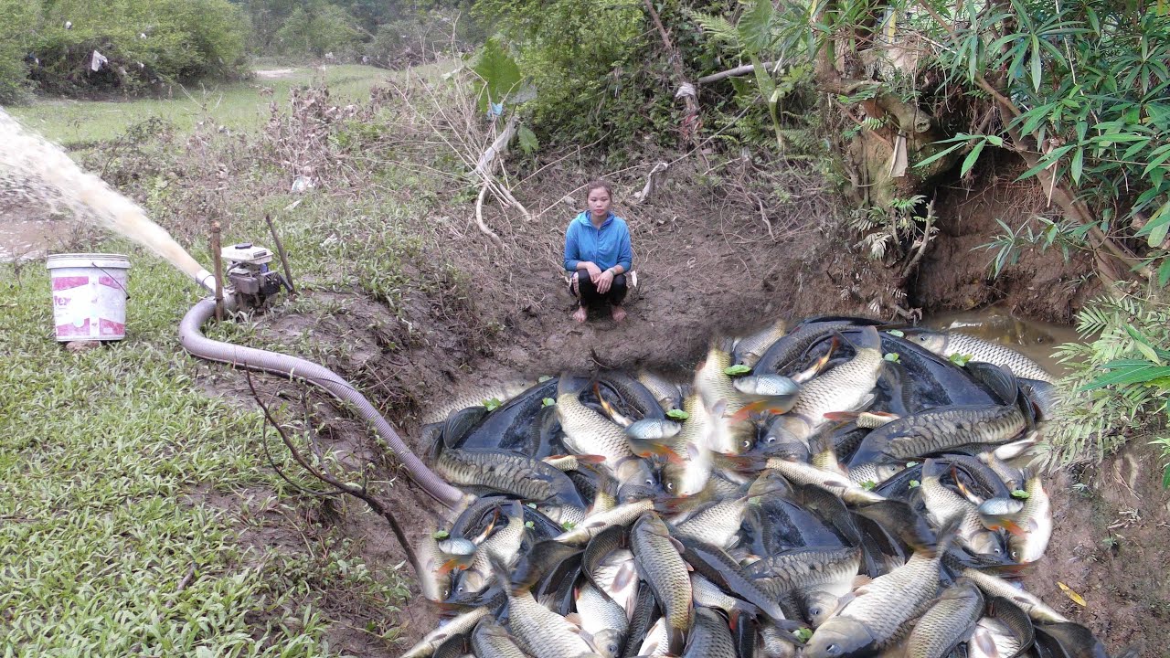 Fishing Technology - Wild Survival Catch Many fish In Mud Wild Lake by ...