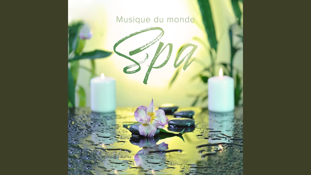 Traitement de l'anxiété  YouTube