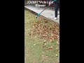 JOVANT® Lightweight Pole Leaf Blower,Cleaning Your House without ladder and bend