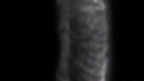 High-Speed Camera HPV-X - Ballistic - (Recording Speed 10Mfps)