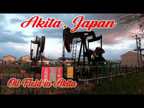 Video: Feestdagen In Akita