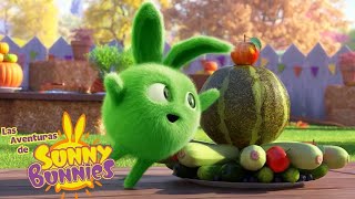 Decorar Comida  Las Aventuras de Sunny Bunnies | Dibujos para niños