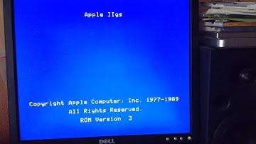 Copy protection of my VGA adapter for Apple II GS