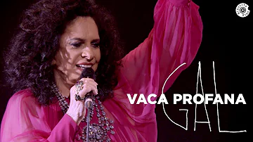 Gal Costa | Vaca Profana (Vídeo Oficial)