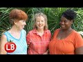 Southeast Gardens | MOBILE | Bee Hive Community Garden | Travelogue