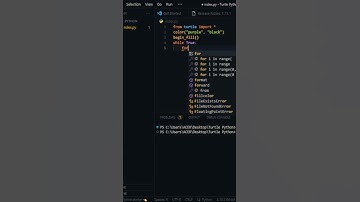 Grafica Tortuga (turtle) Python