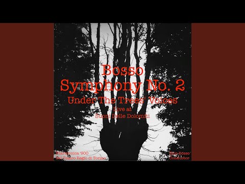 Symphony No. 2