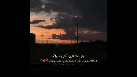 قران كريم بصوت سعد الغامدي || حالات واتس اب اسلامية || مقاطع دينية قصيرة