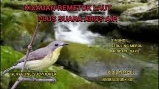 SUARA BURUNG REMETUK LAUT  PLUS GEMERCIK AIR SANGAT COCOK UNTUK MASTERAN