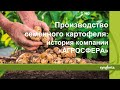 Производство семенного картофеля: история компании «АГРОСФЕРА»