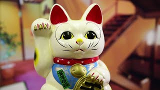 The Lucky Cat